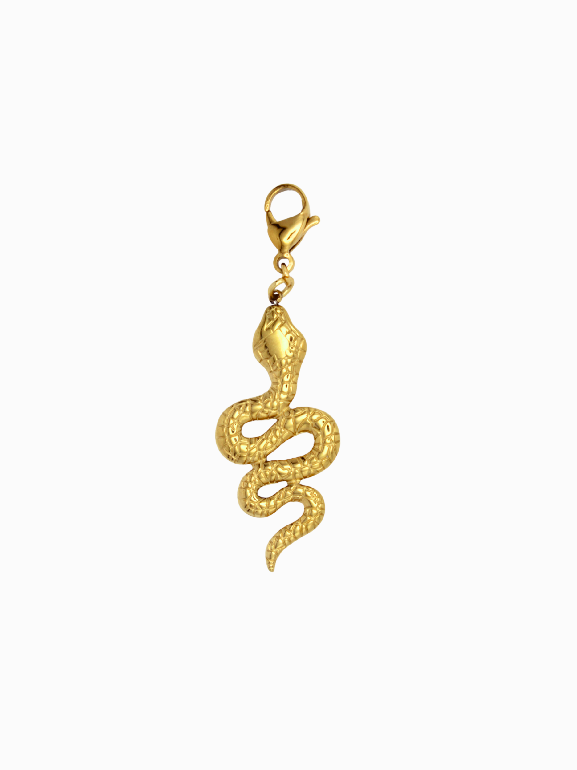 Charm Snake