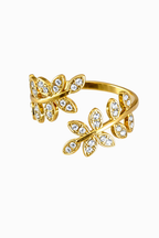 Anillo Silva