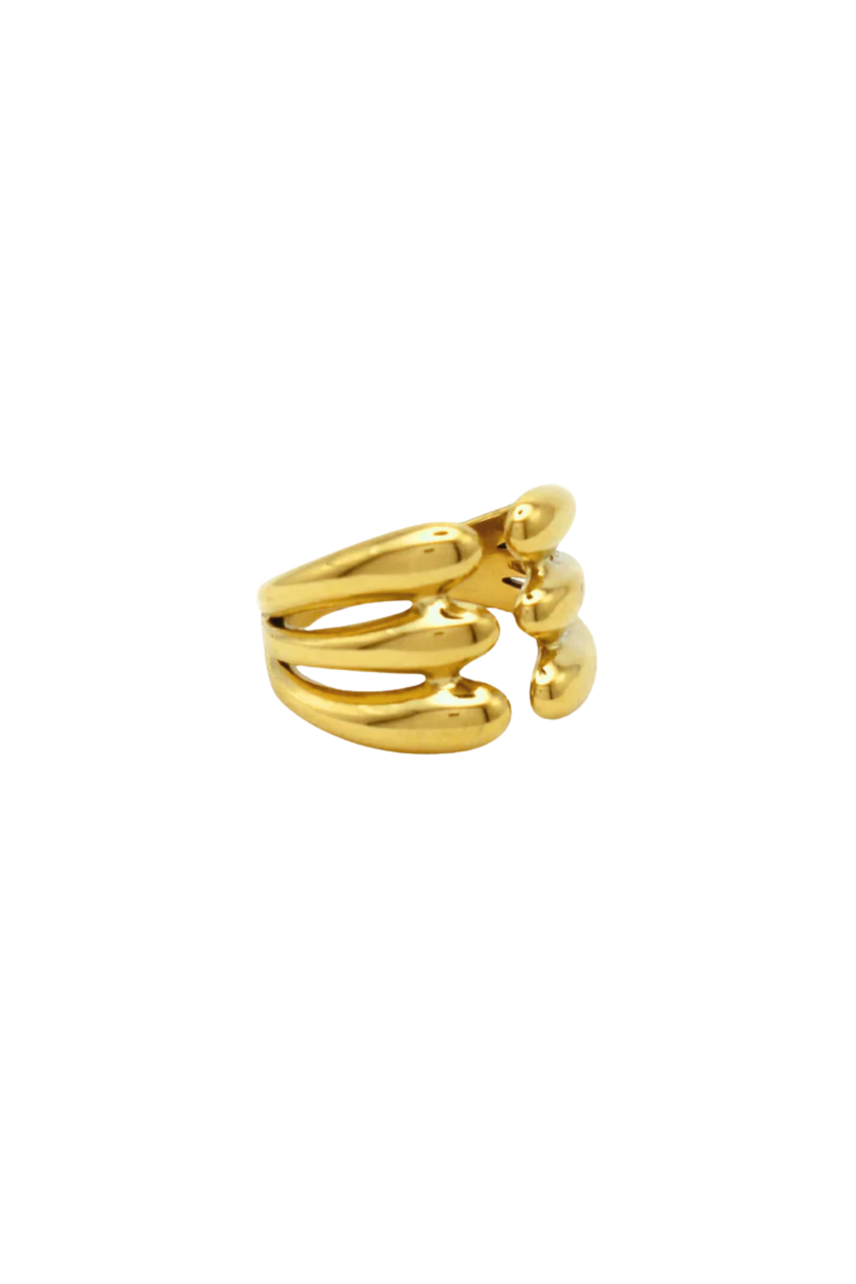 Anillo Linky