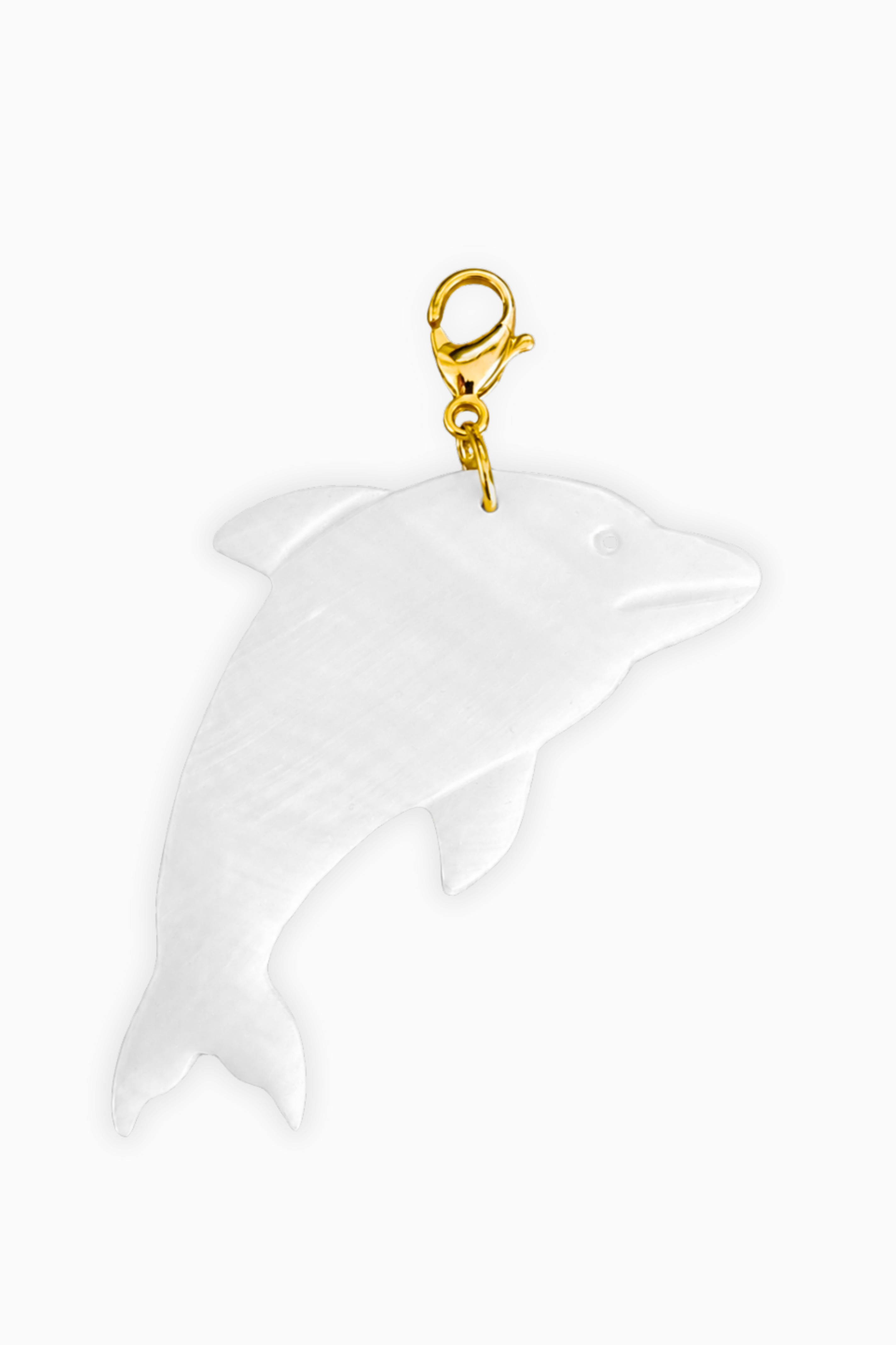 Charm Delfin