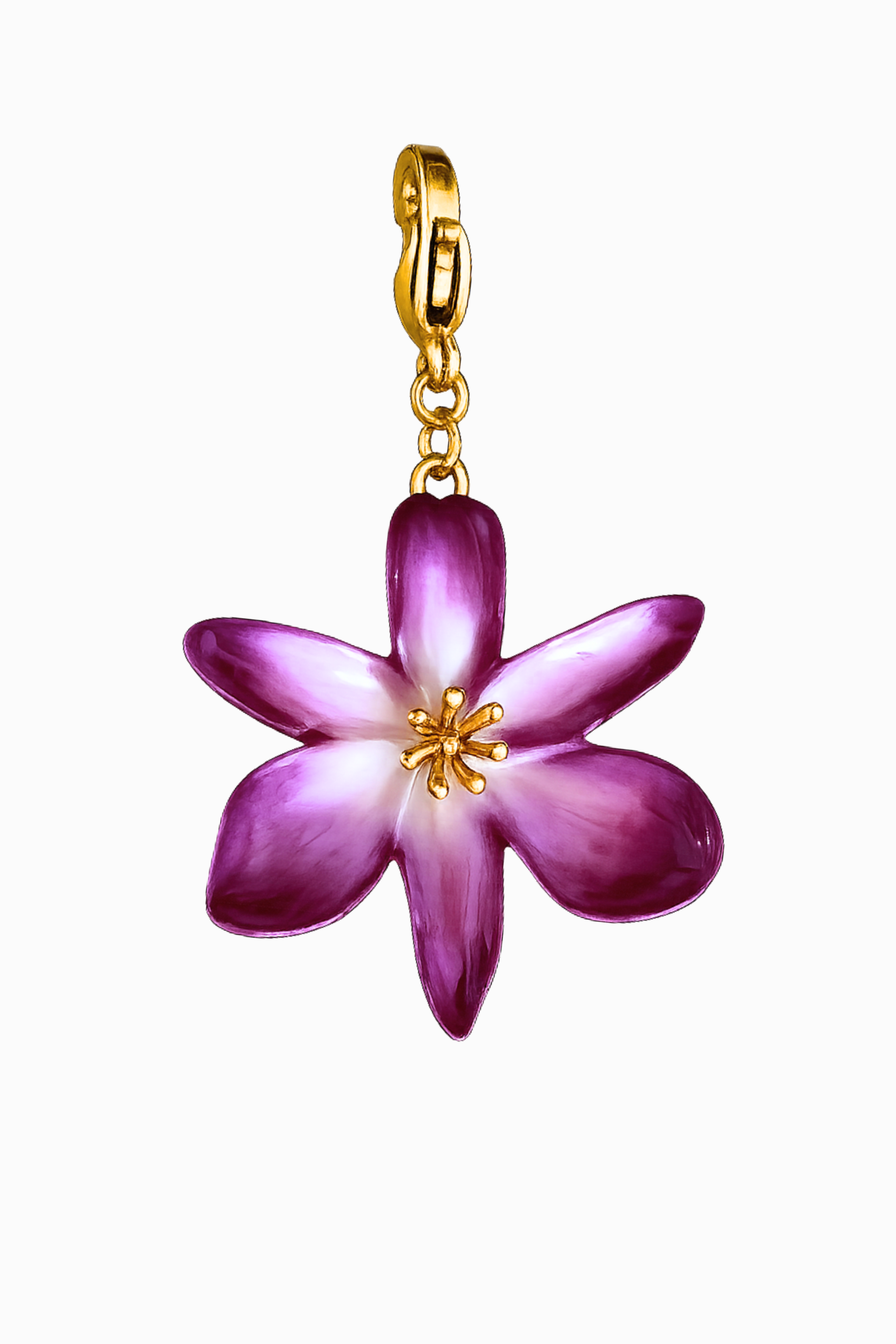 Charm Malva