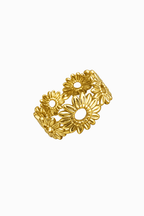 Anillo Suna