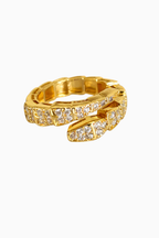 Anillo Ananta