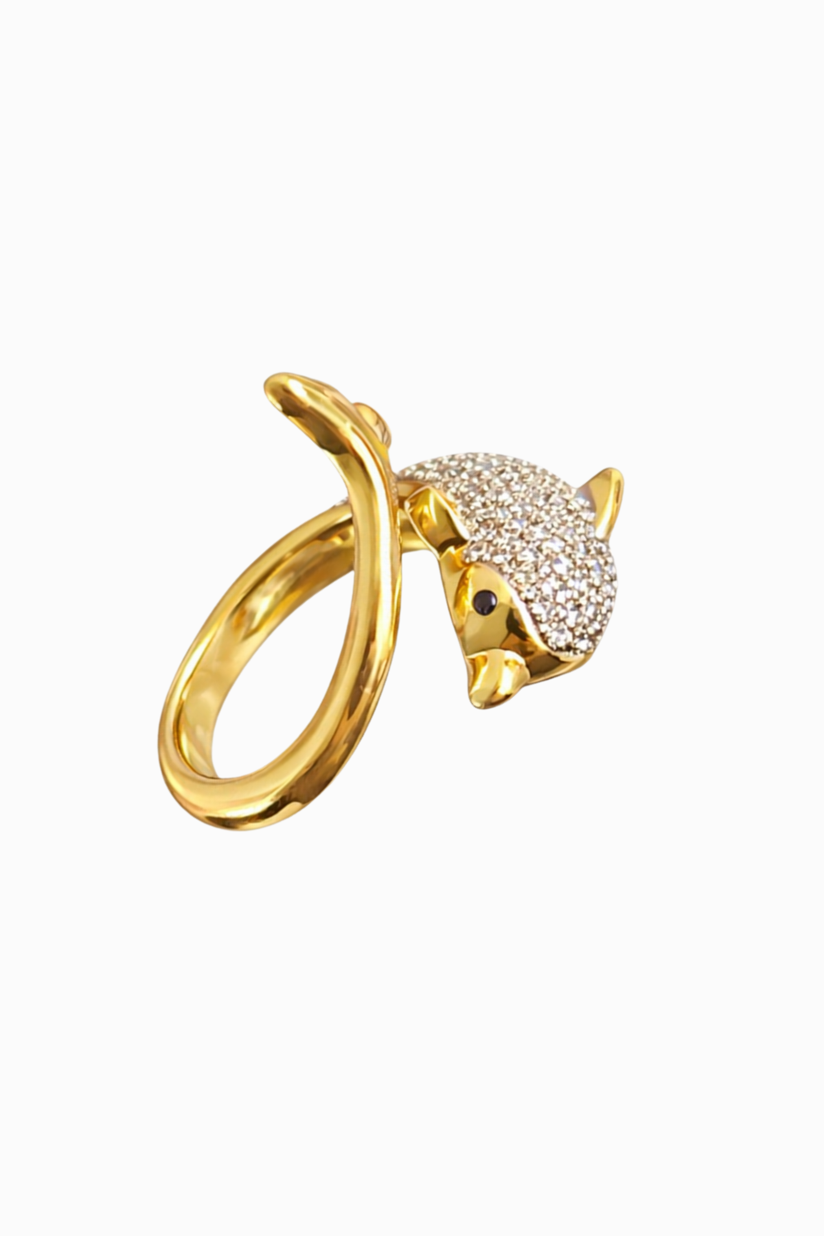 Anillo Flipper